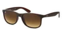 Ray Ban Andy