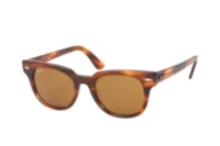 Ray Ban Meteor